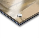 Clarice Beckett 1 Acrylic print