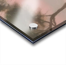 Clarice Beckett 46 Acrylic print