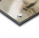 Clarice Beckett 55 Acrylic print