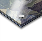 Manly Edward MacDonald   24 Acrylic print