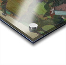 Manly Edward MacDonald   26 Acrylic print