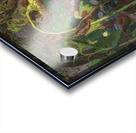 Manly Edward MacDonald   29 Acrylic print