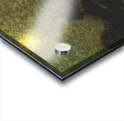 Manly Edward MacDonald   30 Acrylic print