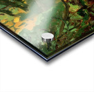 Manly Edward MacDonald   31 Acrylic print