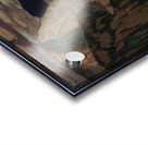 Manly Edward MacDonald   34 Acrylic print