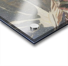 Manly Edward MacDonald   39 Acrylic print