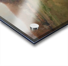 Manly Edward MacDonald   11 Acrylic print