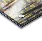 Manly Edward MacDonald   13 Acrylic print