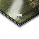 Manly Edward MacDonald   19 Acrylic print