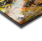 Jackson Pollock 4 Acrylic print