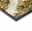 Jackson Pollock 7 Acrylic print