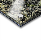 Jackson Pollock 9 Acrylic print