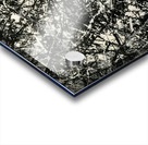 Jackson Pollock 36 Acrylic print