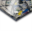 Jackson Pollock 13 Acrylic print