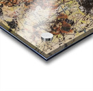 Jackson Pollock 17 Acrylic print