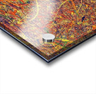 Jackson Pollock 27 Acrylic print