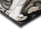 Arthur Dove 1 Acrylic print