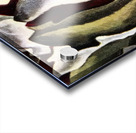 Arthur Dove 5 Acrylic print