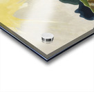 Arthur Dove 14 Acrylic print