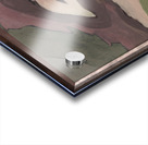 Arthur Dove 15 Acrylic print