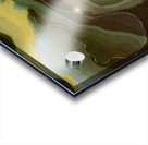 Arthur Dove 19 Acrylic print