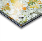 Augusto Giacometti 4 Acrylic print