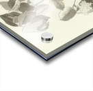 Augusto Giacometti 5 Acrylic print