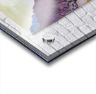 Augusto Giacometti 19 Acrylic print