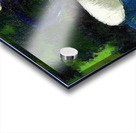 Augusto Giacometti 35 Acrylic print