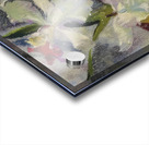 Augusto Giacometti 38 Acrylic print