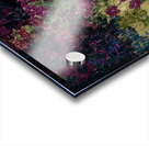 Augusto Giacometti 48 Acrylic print