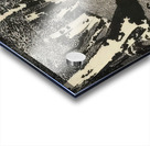 Augusto Giacometti 8 Acrylic print