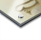 Augusto Giacometti 27 Acrylic print