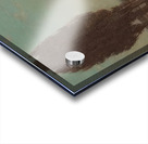 Granville Redmond 6 Acrylic print