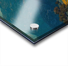 Granville Redmond 10 Acrylic print