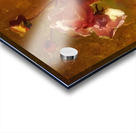 Franz Bischoff 14 Acrylic print