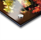 Franz Bischoff 27 Acrylic print