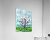 David Hockney 1 Acrylic Print