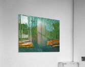 David Hockney 29 Acrylic Print