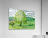 David Hockney 30 Acrylic Print