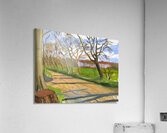 David Hockney Art Acrylic Print