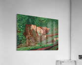 David Hockney  Acrylic Print