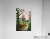 David Hockney 53 Acrylic Print