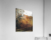 Autumn   Contemporary Realism - Andrew Wyeth Acrylic Print