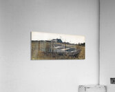 Andrew Wyeth Acrylic Print