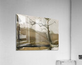 Andrew Wyeth Acrylic Print