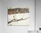 Andrew Wyeth Acrylic Print