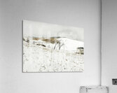 Andrew Wyeth Impression acrylique