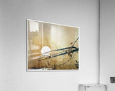 Andrew Wyeth Acrylic Print