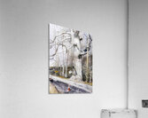 Walking Stick   Contemporary Realism - Andrew Wyeth Acrylic Print